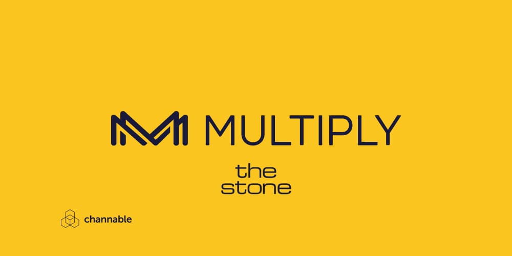 How The Stone Minimized Wasted Spend and Boosted Profitability Using Channable