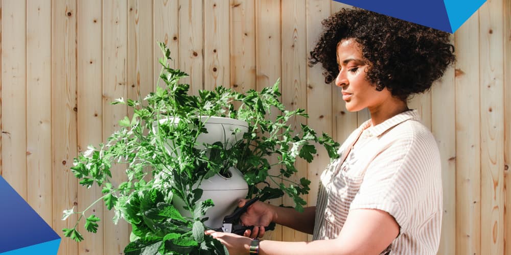 Home & Garden Retail: how to profit from the sector’s eCommerce boom