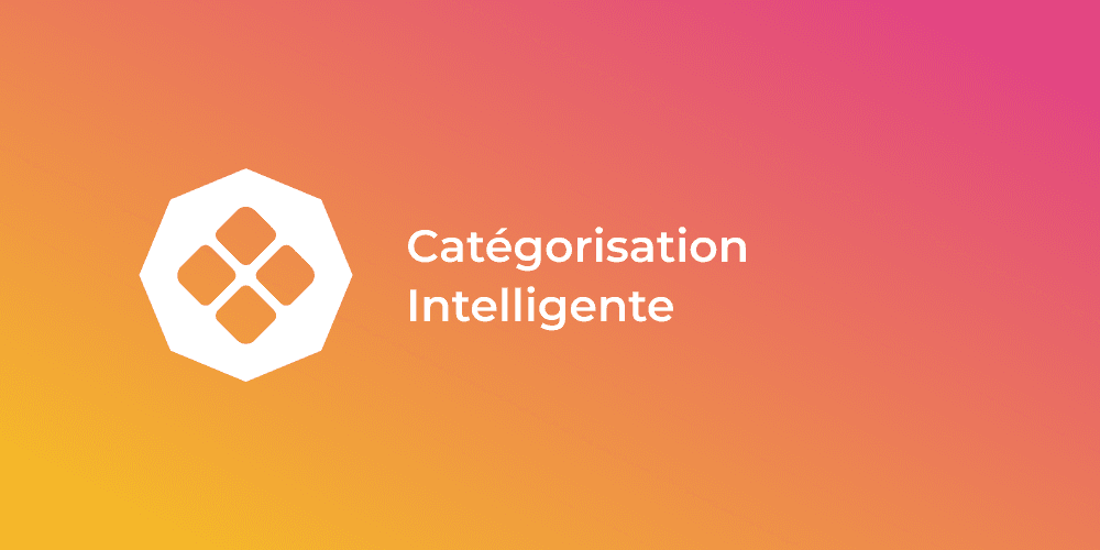 Nouveau : l’IA s’invite dans votre flux produit avec la catégorisation intelligente