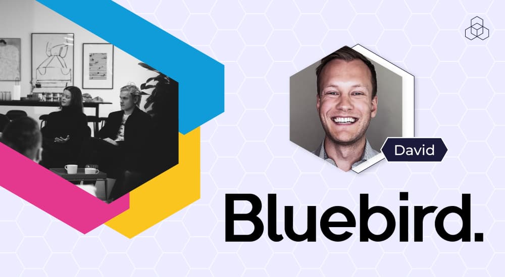 Bluebird Media nutzt Datenfeed-Management, um Zeit und Performance zu verbessern
