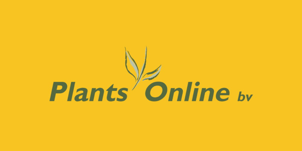 How Plants Online brought in 300% increase in sales through Marketplaces in 1 year